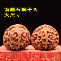 The old Nanjiang stone lion head extra large 43-50 boutique collection grade Wenwan walnut handle to play hand to play hemp old tree