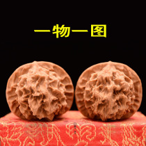 Longlin pattern lion head 48-50 fine text play walnut handle play hemp walnut stuffy old tree ancient apple orchard