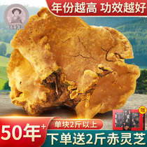 (50年野生桑黄)西藏特级桑树桑黄野生桑黄灵芝单块2斤1000g