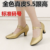 Золотая кожа 5,5 и высокая