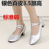 Серебряная кожа 3.5 и высокая