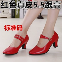 Красная кожа 5,5 и высокая