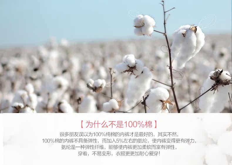 Slip jeunesse NHT1006 en coton - Ref 666076 Image 11