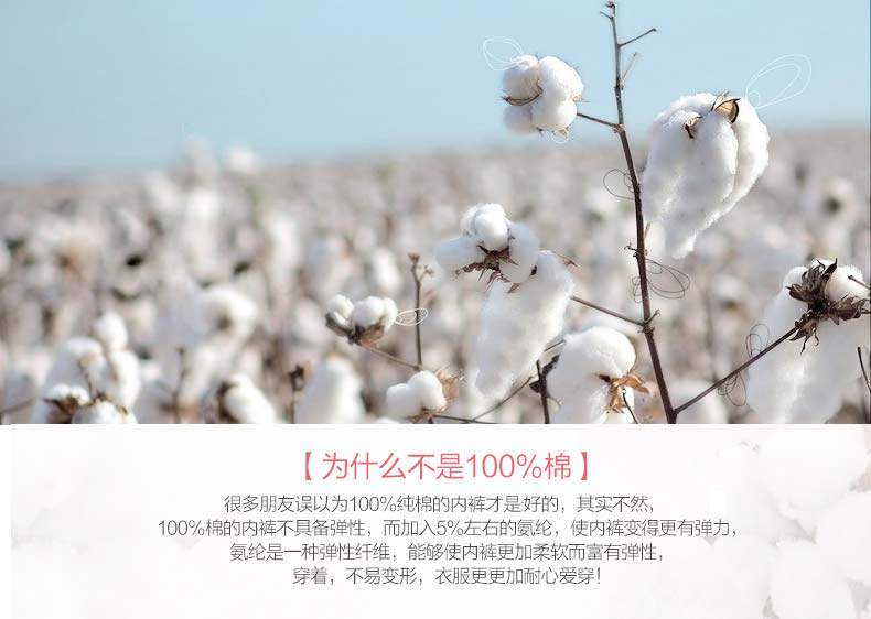 Slip jeunesse NHT1006 en coton - Ref 669236 Image 11