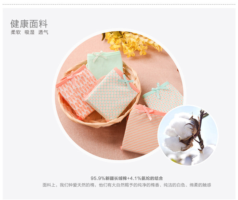 Slip jeunesse N686X2561 en coton - Ref 669211 Image 8