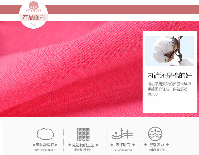 Slip jeunesse NHT1006 en coton - Ref 669236 Image 10