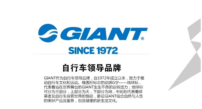 Poignées de vélo GIANT - Ref 2338924 Image 5