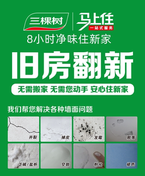 Guangzhou wall painting and refreshing service. paint the walls of old houses and renovate them with latex paint. three trees will live at your door right away.
