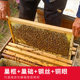 High-quality finished Chinese bee hive frame fir Italian honeycomb frame with frame base honey bee hive suitable for standard beehives