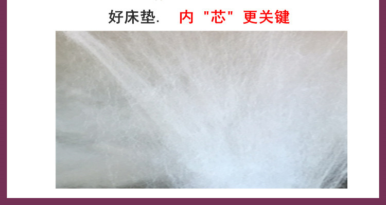 Ai Si 缦 đệm nệm 1.8m giường 1,5 m giường nệm pad có thể gập lại đôi đệm tatami mat