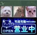 梅子 宠物生活馆