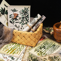 junk journal hand account retro plant diagram map background material base paper a5 large size 20 sheets