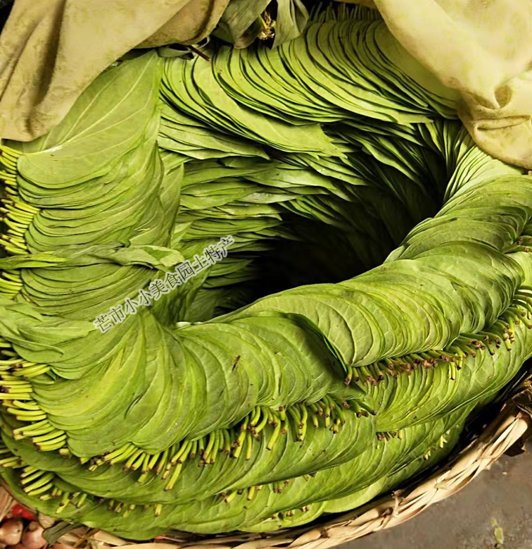 Betel nut leaf 1 kg of betel nut leaves green leafy fresh betel nut leaf betel nut leaf Taiwan bud leaf fresh betel nut leaves