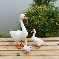 Simulation feather big white goose poultry animal model specimen pastoral home furnishings window accessories shooting props