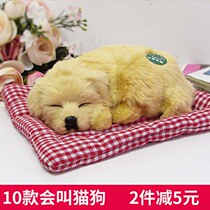 Mini will be called emulation kitten puppies emulation cat emulation dog children plush toy birthday gift animal paparazzi