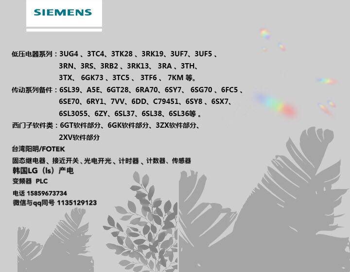 Siemens 6ES7952-1AM00-0AA0