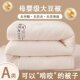 Soybean Fiber Quilt, Thickened Winter Quilt, Warm Cotton Quilt, Suitable for Spring and Autumn, Air-Conditioned Summer, All-Season Use, Student Dormitory, Home Use, Double Bed