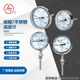 Bimetal thermometer in Shanghai Automation Instrument Factory 3