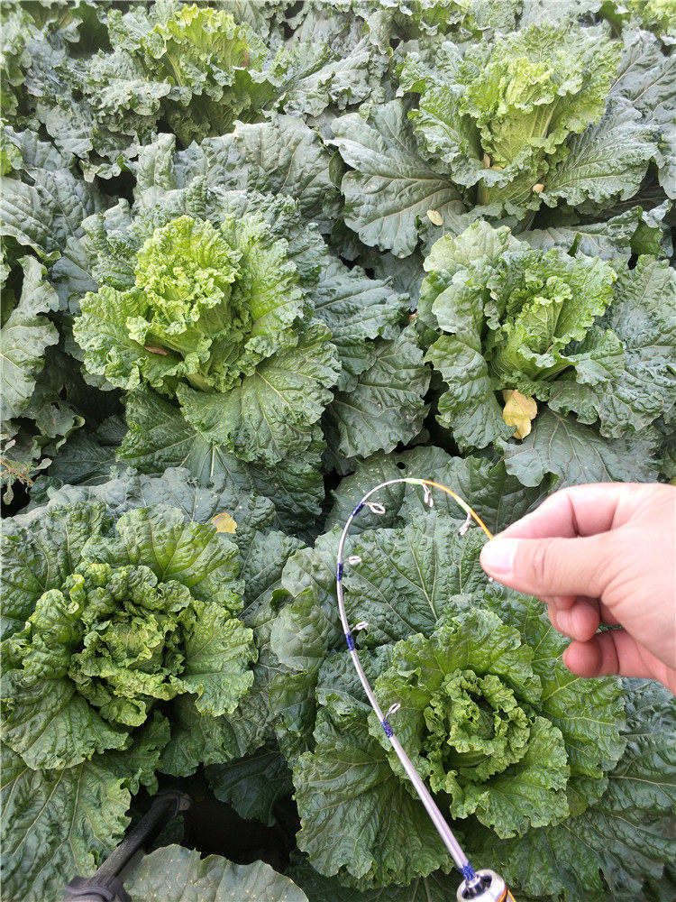 Ice удочкой 发泡把手冰钓鱼竿中硬尾冻钓鱼竿插节鱼竿冰上钓鱼竿50厘米60厘米 Dragon strong second generation