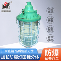 Shanghai New Dawn Explosion - proof light BCD-100 - 250W Energy - saving Lamp LED National Standard Origin Factory