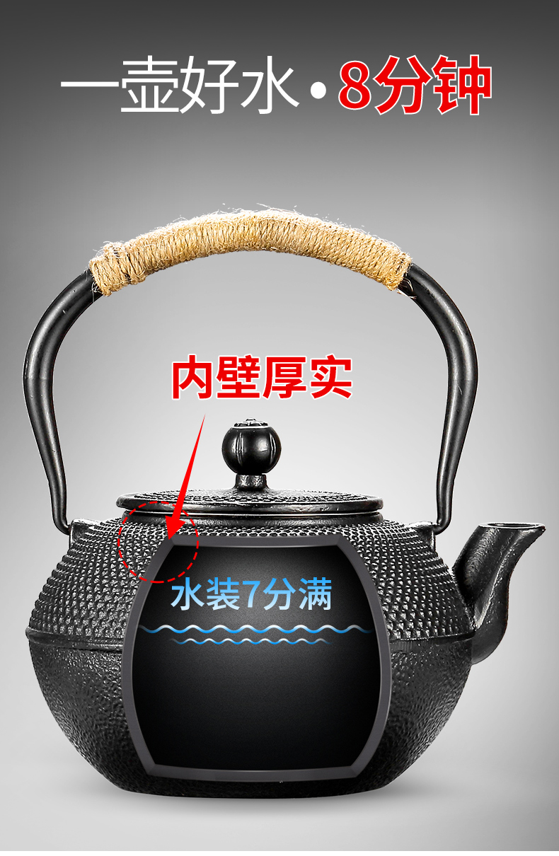 Iron pot of cast Iron tea TaoLu Japanese electricity heating kettle household cooking kettle pot pig Iron suit restoring ancient ways