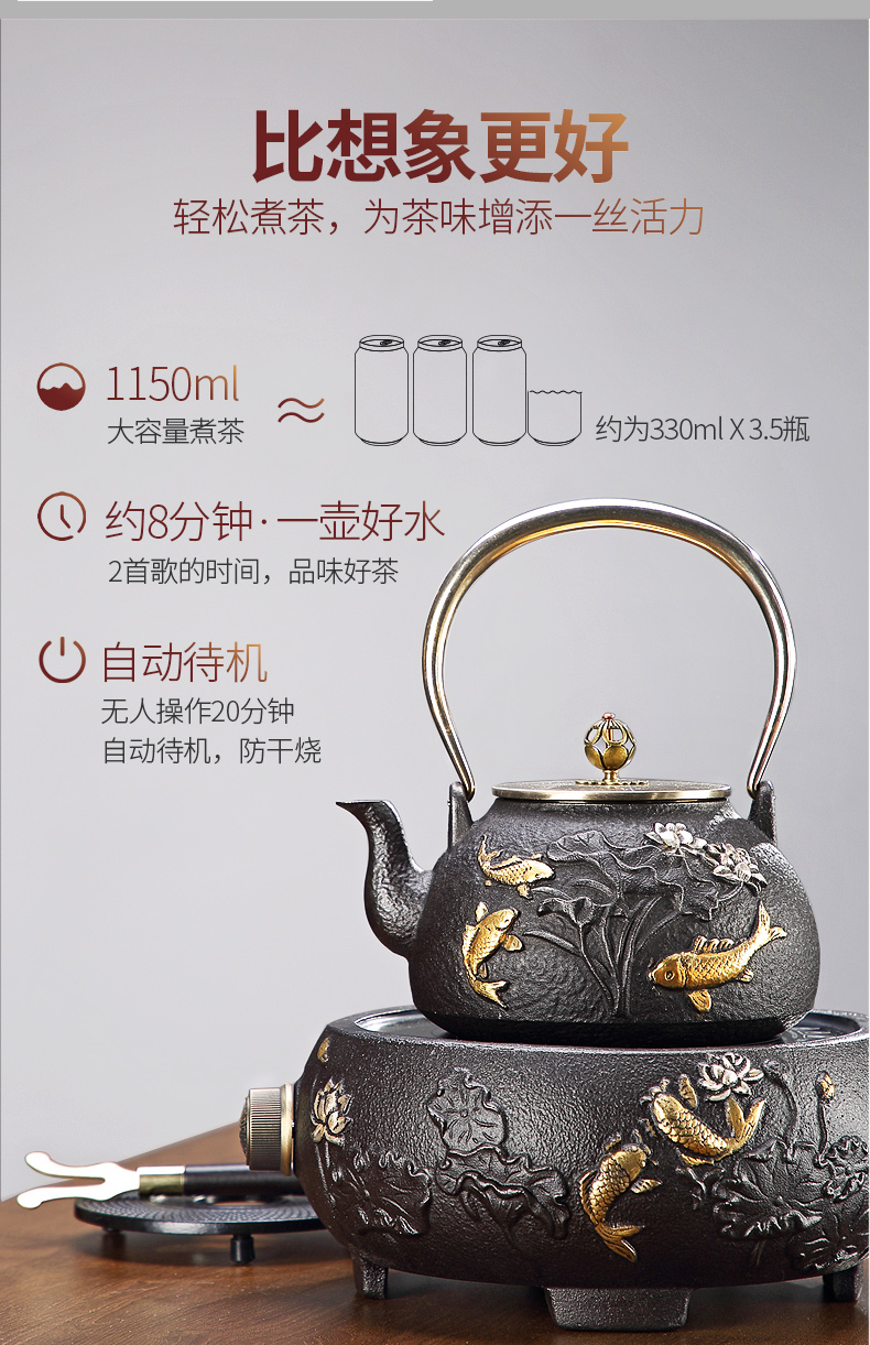 Iron pot of cast Iron tea kettle Japanese tea pot boiling tea ware household electric TaoLu bottle tea kettle