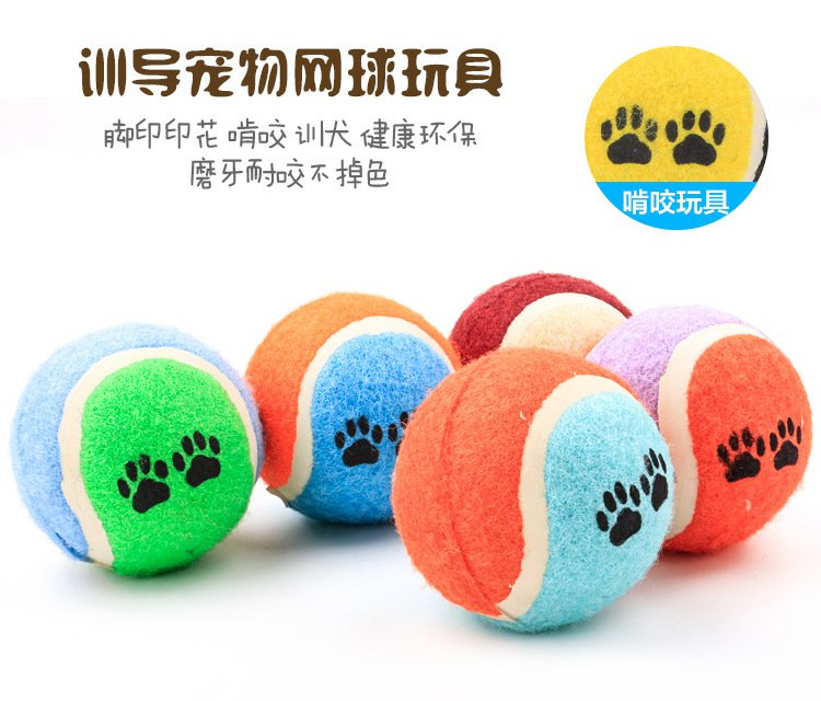 Pet tennis đào tạo cắn bóng mèo chó câu đố bóng đồ chơi mol cắn bảo vệ môi trường không phai làm đồ chơi cho chó