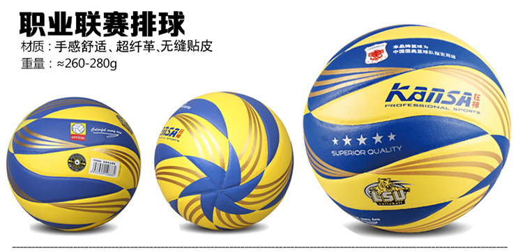 Ballon de volley-ball - Ref 2010551 Image 33