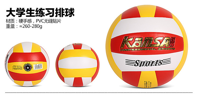 Ballon de volley-ball - Ref 2010551 Image 30