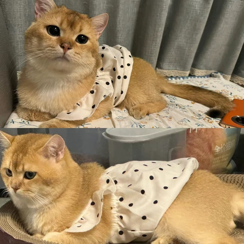 Тонкий дышащий шнурок-держатель, платье для принцессы