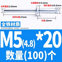 Железный M5*20 (100)