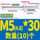 M5*30 (10)