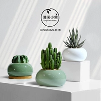 Шесть -летний магазин 19 цветов настоятельно рекомендуют творческую засуху