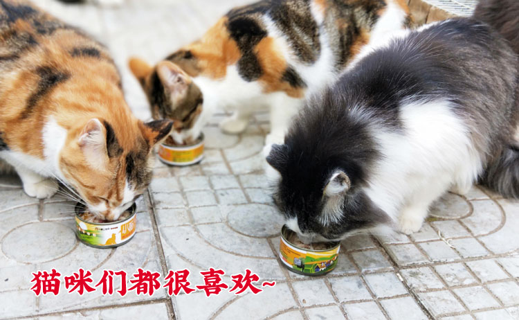 Mèo nhỏ mặt mèo đóng hộp ức gà thịt bí ngô 80g mèo ăn nhẹ thức ăn ướt vào mèo con phổ thông thức ăn mèo royal canin