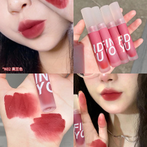 Jelly Velvet Lip Glaze Matte face natural lasting not easy to stick Cup does not fade parity niche student lipstick