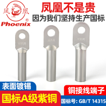 Phoenix DT copper terminal GB grade A tinned copper nose copper connector copper direct copper wire ear manufacturers