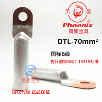 Phoenix DTL-70mm copper and aluminum terminal National standard class B copper and aluminum end copper nose Aluminum nose 