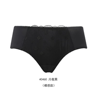 Moonlight Night 40460