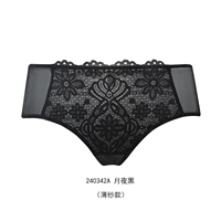 Лунная ночь 240342a