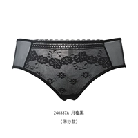 Moonlight Night 240337a