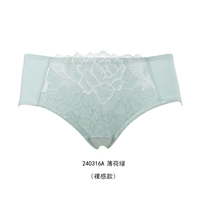 Монетный зеленый цвет 240316A