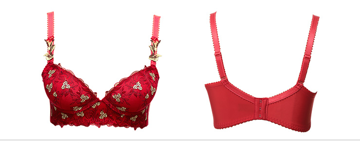 歌瑞尔 秋冬上新性感刺绣小胸聚拢内衣红色调