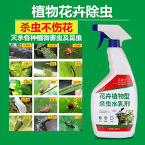 Orchid longevity Jasmine gardenia flower soil insect medicine insecticide sweet-scented osmanthus peach tree flower Flower soil deworms