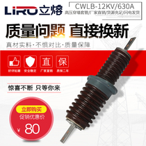 10kv200 outdoor high-pressure wall casing copper row ceramic insulation wall embedded pipe CWB-12 630A400