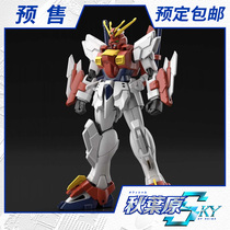 Scheduled for Bandage HG 1 144 hot up to the spoiler battle record assembly model