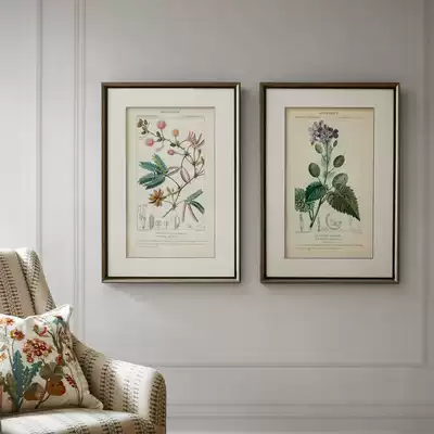 Harbor House Lavender Genus Academic Notes Decorative paintings Creative Simple wall Paintings Lavandula