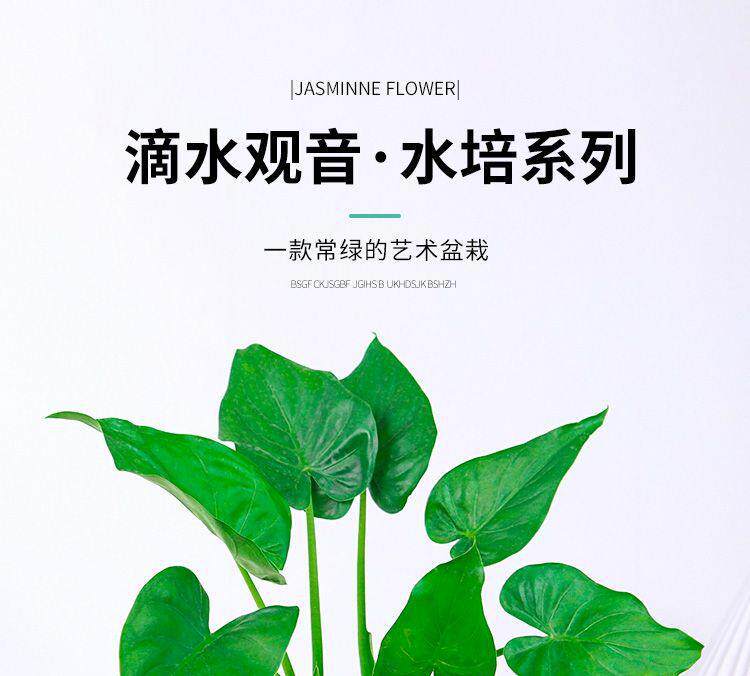 详情图1.jpg