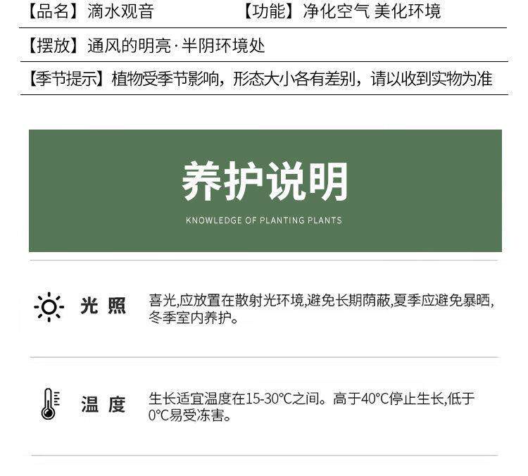 详情图16.jpg
