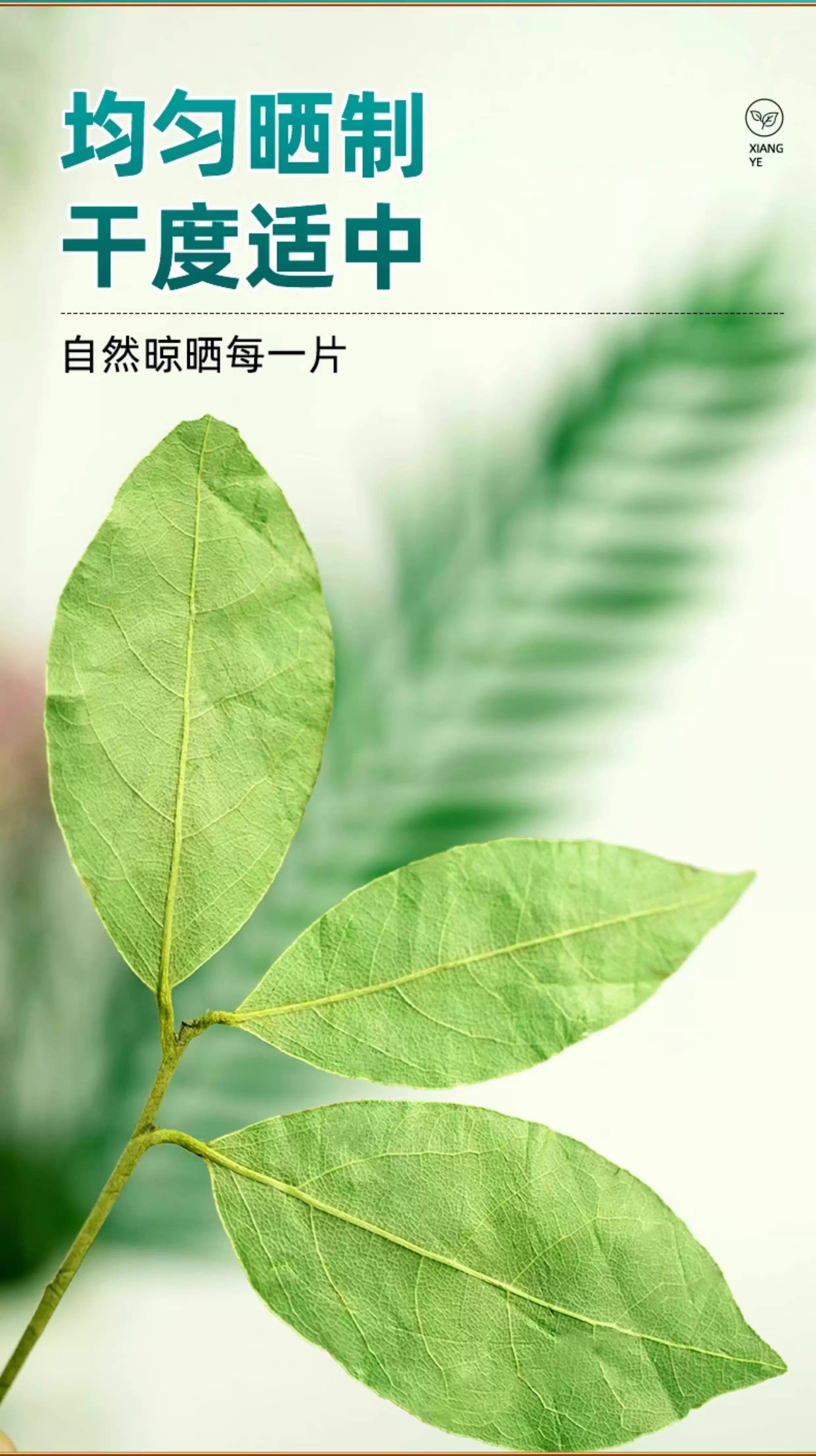 详情图7.jpg