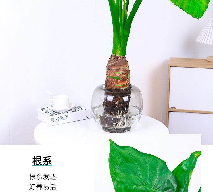 详情图4.jpg